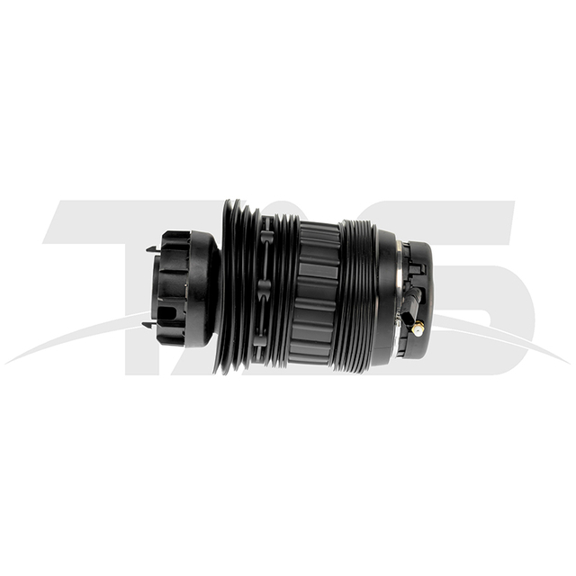Porsche Panamera 970 Rear Air Spring