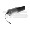 Audi A8 D3 (4E) Front Left Air Suspension Strut with ADS