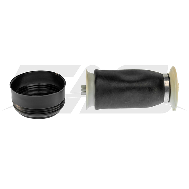 BMW X5 E70 Rear Air Spring