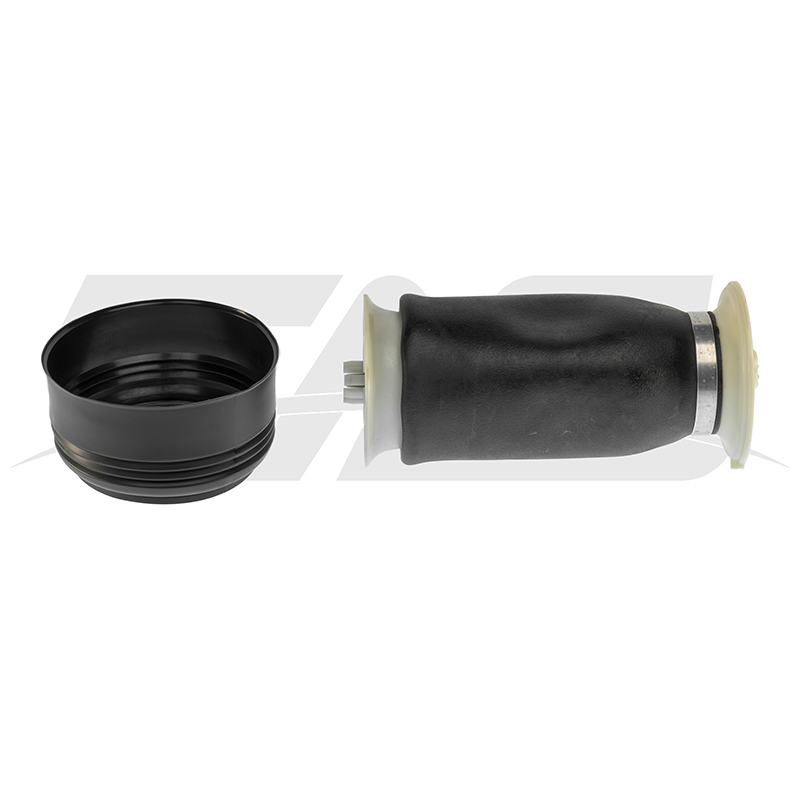 BMW X5 E70 Rear Air Spring