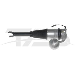 VW Phaeton Rear Right Air Suspension Strut with ADS