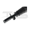 BMW X5 E53 Front Right Air Suspension Strut without ADS