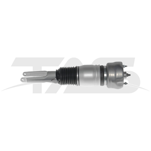 Porsche Panamera (2009-2013) Front Left Air Suspension Strut with ADS