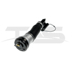 Mercedes-Benz S Class W220 4Matic Front Left Air Suspension Strut with ADS