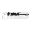 BMW 7 Series E38 Rear Right Shock Absorber with ADS