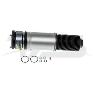 BMW 7 Series E66 Rear Air Spring
