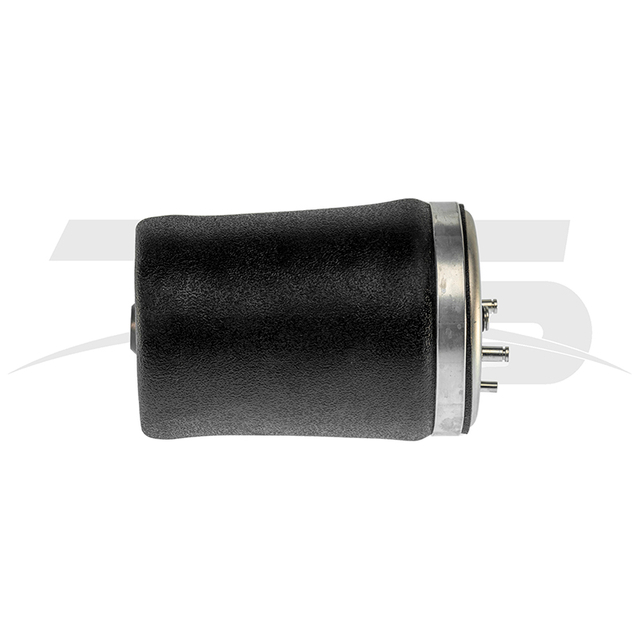 BMW X5 E53 Rear Left Air Spring