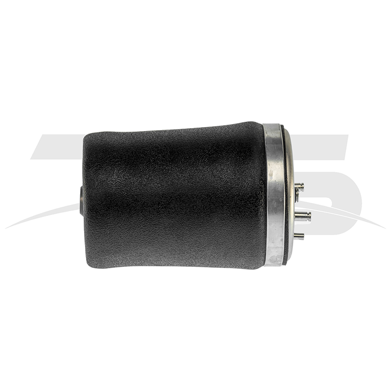 BMW X5 E53 Rear Left Air Spring