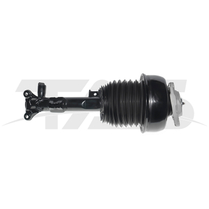 Mercedes-Benz CLS Class C218/X218 Front Right Air Suspension Strut with ADS 