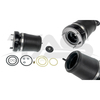 BMW X5 E53 Front Left Air Spring