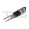 Porsche Panamera (2009-2013) Front Left Air Suspension Strut with ADS