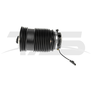 Mercedes-Benz E Class W213/S213 Rear Left air spring