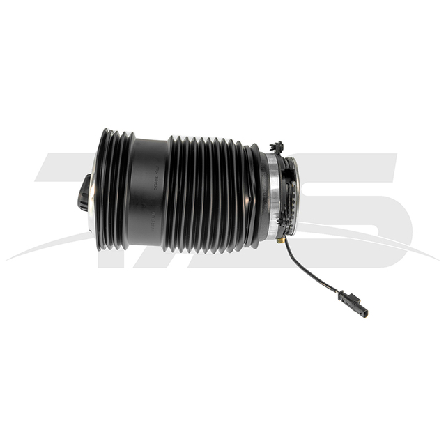 Mercedes-Benz E Class W213/S213 Rear Left air spring