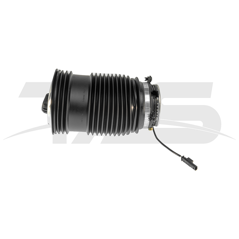 Mercedes-Benz E Class W213/S213 Rear Left air spring