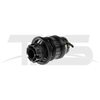 Porsche Panamera 970 Rear Air Spring