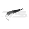Audi A8 D3 (4E) Front Left Air Suspension Strut with ADS
