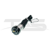 Mercedes-Benz S Class W220 Front Air Suspension Strut with ADS