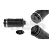 Mercedes-Benz ML W164 Rear Air Spring