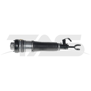 TYSL4038
