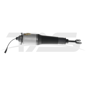 Audi A8 D3 (4E) Front Right Air Suspension Strut with ADS