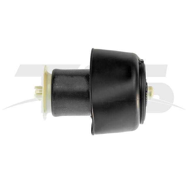 BMW 5 F07 Rear Air Spring
