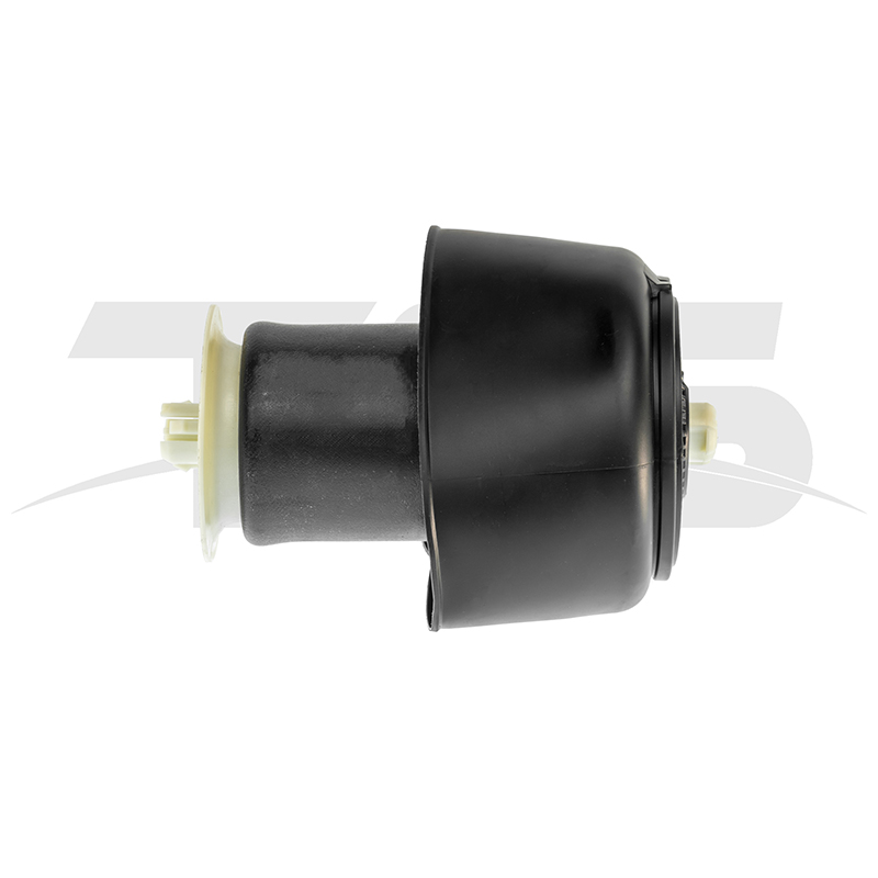 BMW 5 F07 Rear Air Spring