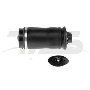 Mercedes-Benz ML W164 Rear Air Spring