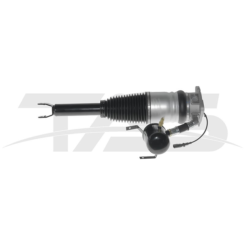 Audi A8 D3 (4E) Rear Right Air Suspension Strut with ADS