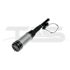 Mercedes-Benz S Class W220 Rear Air Suspension Strut with ADS