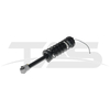BMW 7 Series E38 Rear Left Shock Absorber with ADS