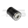BMW X5 E53 Rear Left Air Spring