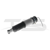 BMW 7 Series E65 Rear Right Air Suspension Strut With ADS