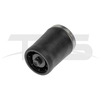 BMW X5 E53 Rear Left Air Spring