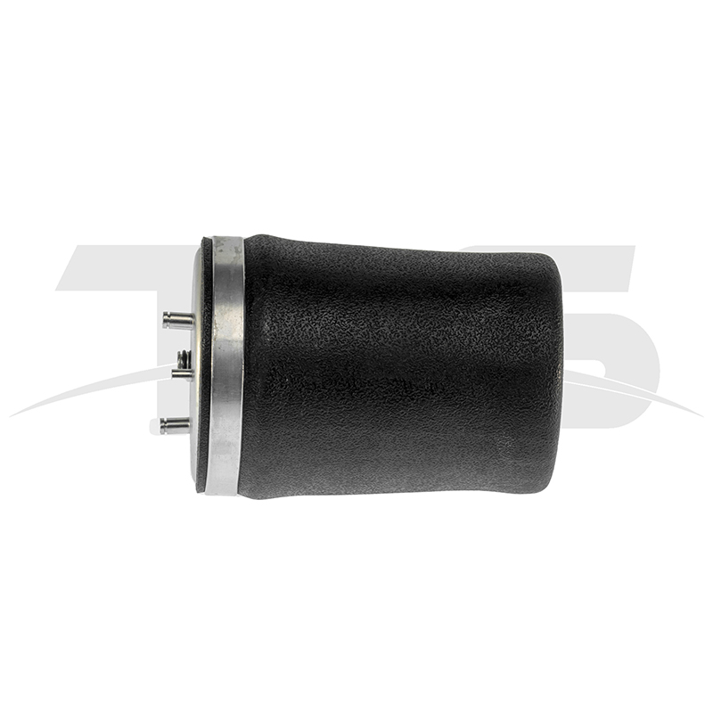 BMW X5 E53 Rear Right Air Spring