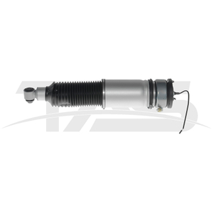 BMW 7 Series E65 Rear Right Air Suspension Strut With ADS