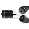 Land Rover Range Rover L322 Rear Air Spring
