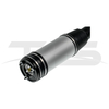 Mercedes-Benz S Class W220 Rear Air Suspension Strut with ADS