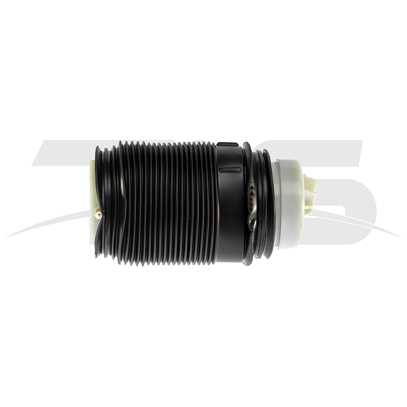 Mercedes-Benz E Class W212 Rear Right Air Spring