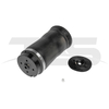 Mercedes-Benz ML W164 Rear Air Spring