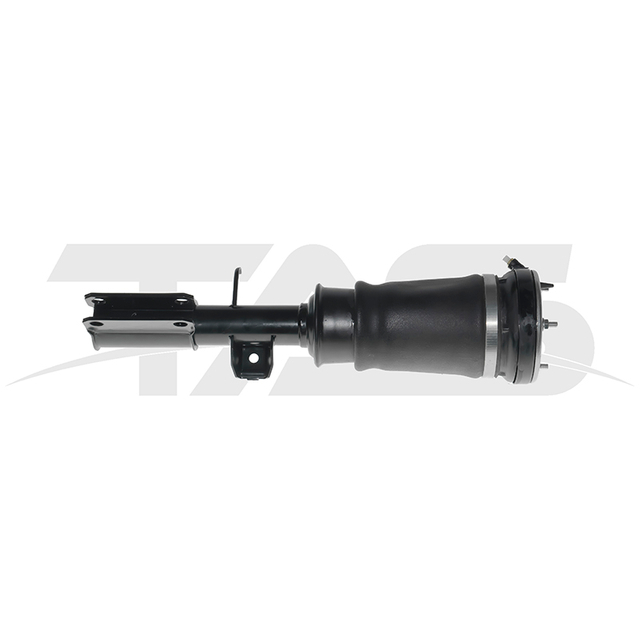 BMW X5 E53 Front Right Air Suspension Strut without ADS