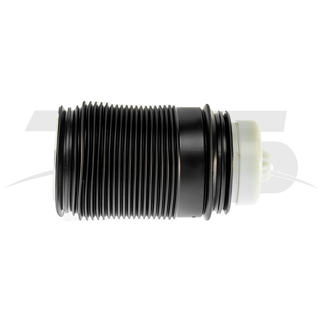 Mercedes-Benz E Class W212 Rear Left Air Spring