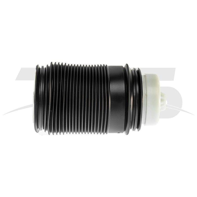 Mercedes-Benz E Class W212 Rear Left Air Spring