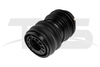 Land-Rover Range Rover Velar Rear Left Air Spring