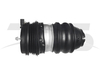 Porsche Taycan Rear Left Rear Left Air Spring