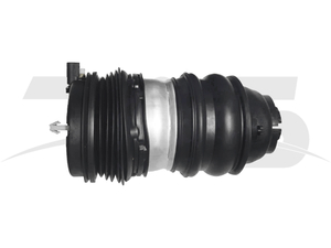 Porsche Taycan Rear Left Rear Left Air Spring