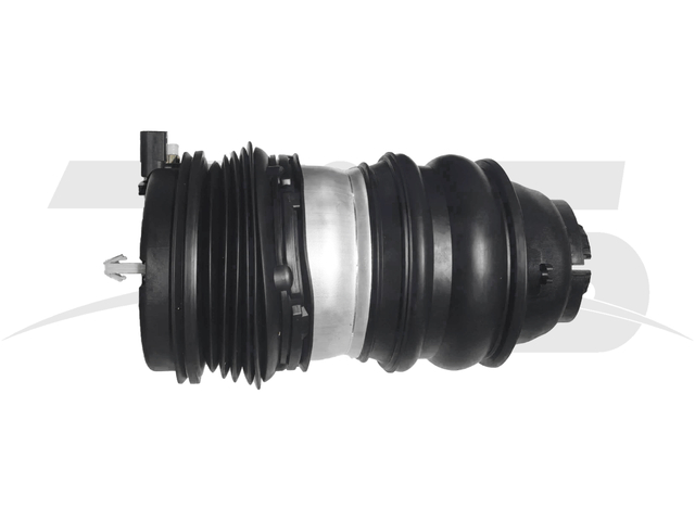 Porsche Taycan Rear Left Rear Left Air Spring